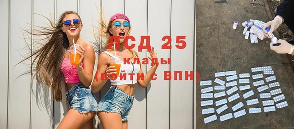 ПСИЛОЦИБИНОВЫЕ ГРИБЫ Алексеевка