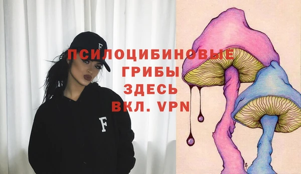 первитин Алексин