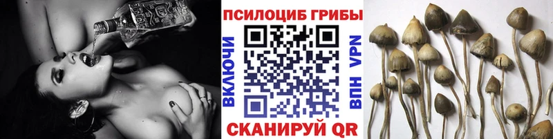 Галлюциногенные грибы Cubensis Тотьма