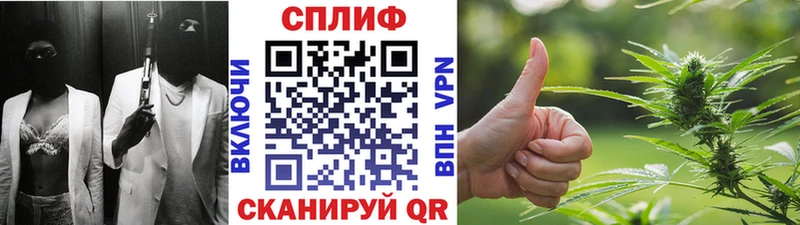 где найти   Тотьма  это состав  Канабис SATIVA & INDICA 